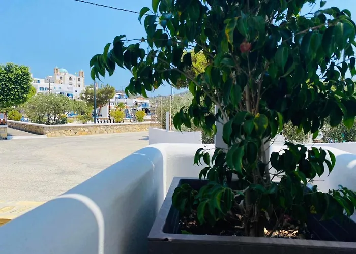 Sophia's - Thyme * Lipsi